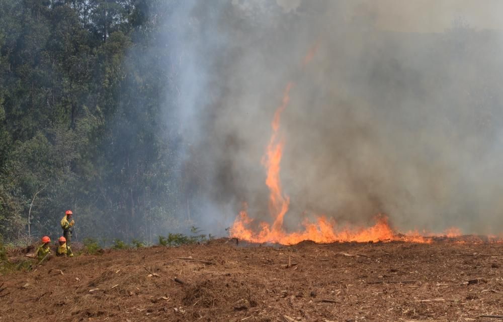 Incendio forestal en San Salvados de Meis