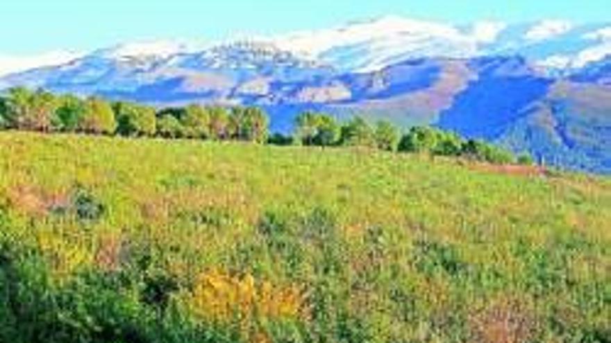 Los ecosistemas de Sierra Nevada, altamente protegidos