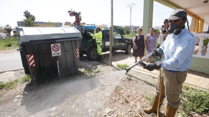 Europa pone a Castellón en ‘alerta roja’ por la plaga del mosquito tigre