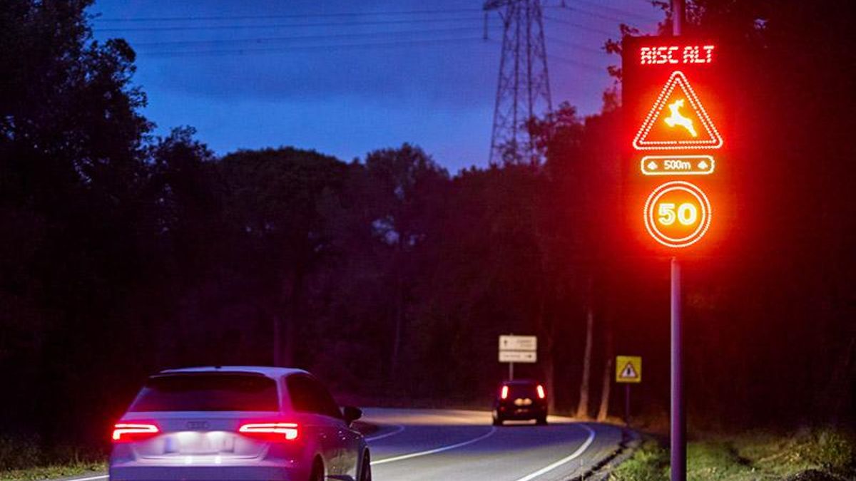 Senys instal·lats a alguna carretera de la Diputació per alertar de la presència de fauna.