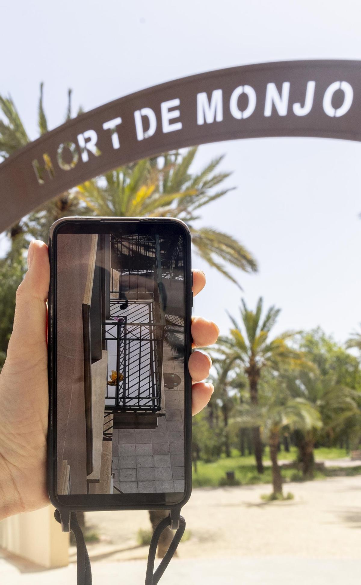Una afectada por el lanzamiento de excrementos en Elche muestra una fotografía reciente con varias bolsas con caca de perro