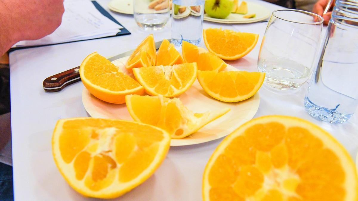 Cata a ciegas de naranjas en Telde