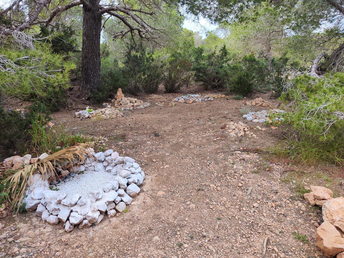 Tumbas de perros y gatos en el cementerio ilegal de mascotas de sa Caleta