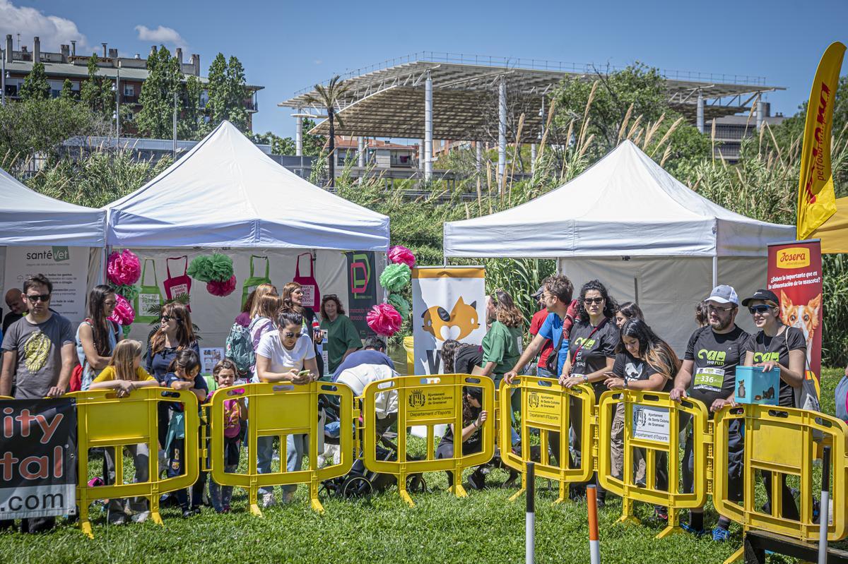 CAN WE RUN BARCELONA. La carrera organizada por Prensa Ibérica y El Periódico de Catalunya con la colaboración de Sport ,  donde las personas y sus mascotas perrunas corren en familia