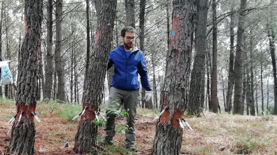 Ricardo Quiroga durante los trabajos de campo en Campo Lameiro