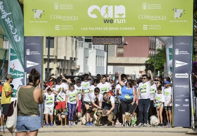 16/12/2018 LAS PALMAS DE GRAN CANARIA. Carrera ...