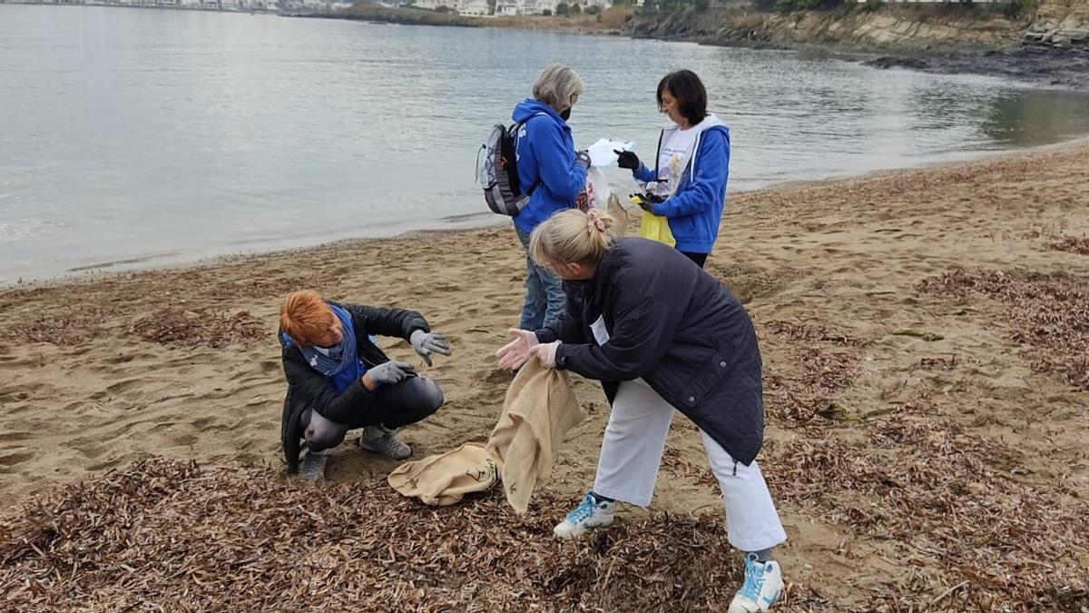 Una part dels voluntaris recollint brossa a Grifeu