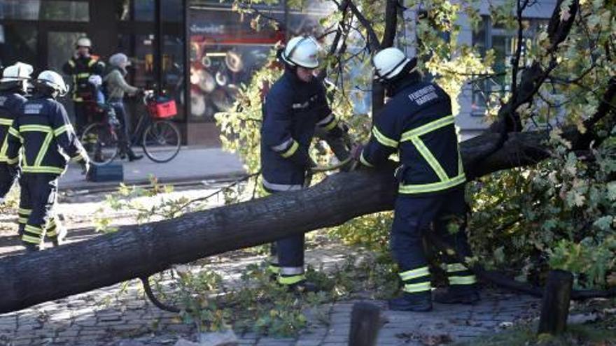 La tempesta «Herwart» va causar importants danys.