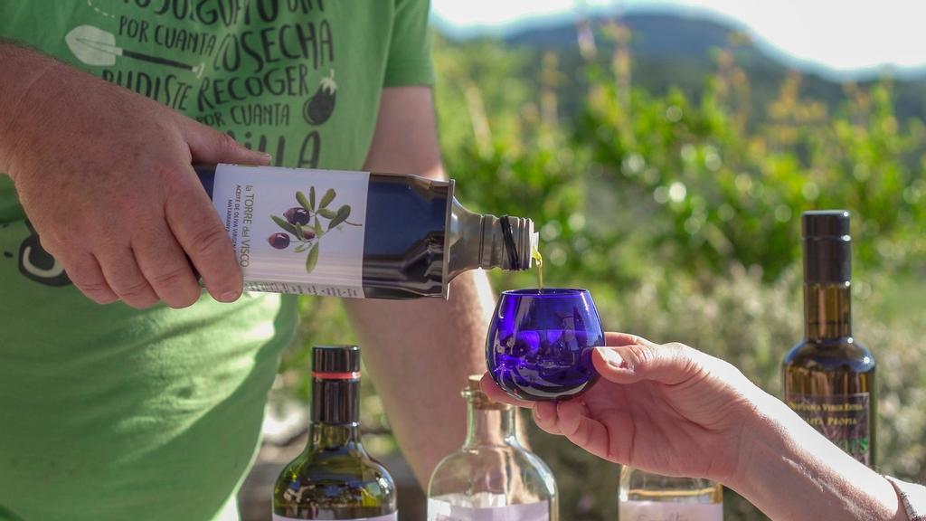 La Torre del Visco, Fuentespalda (Teruel)