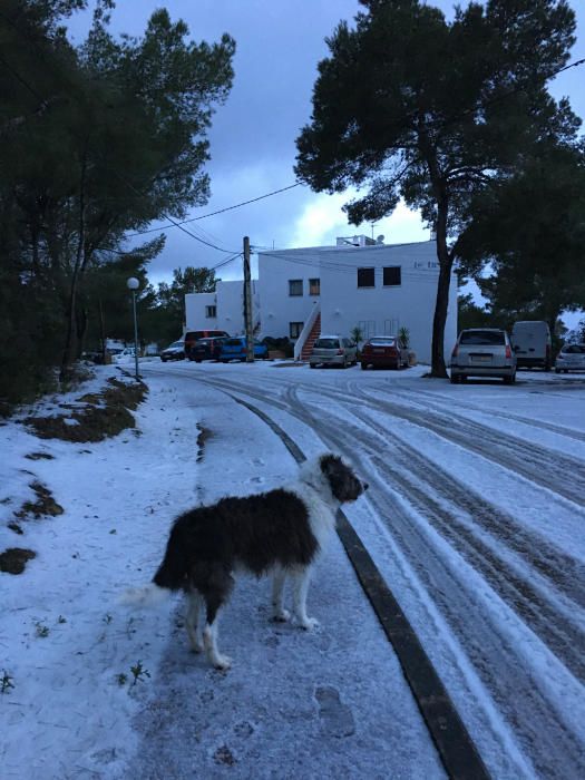 Temperaturas muy bajas en Ibiza