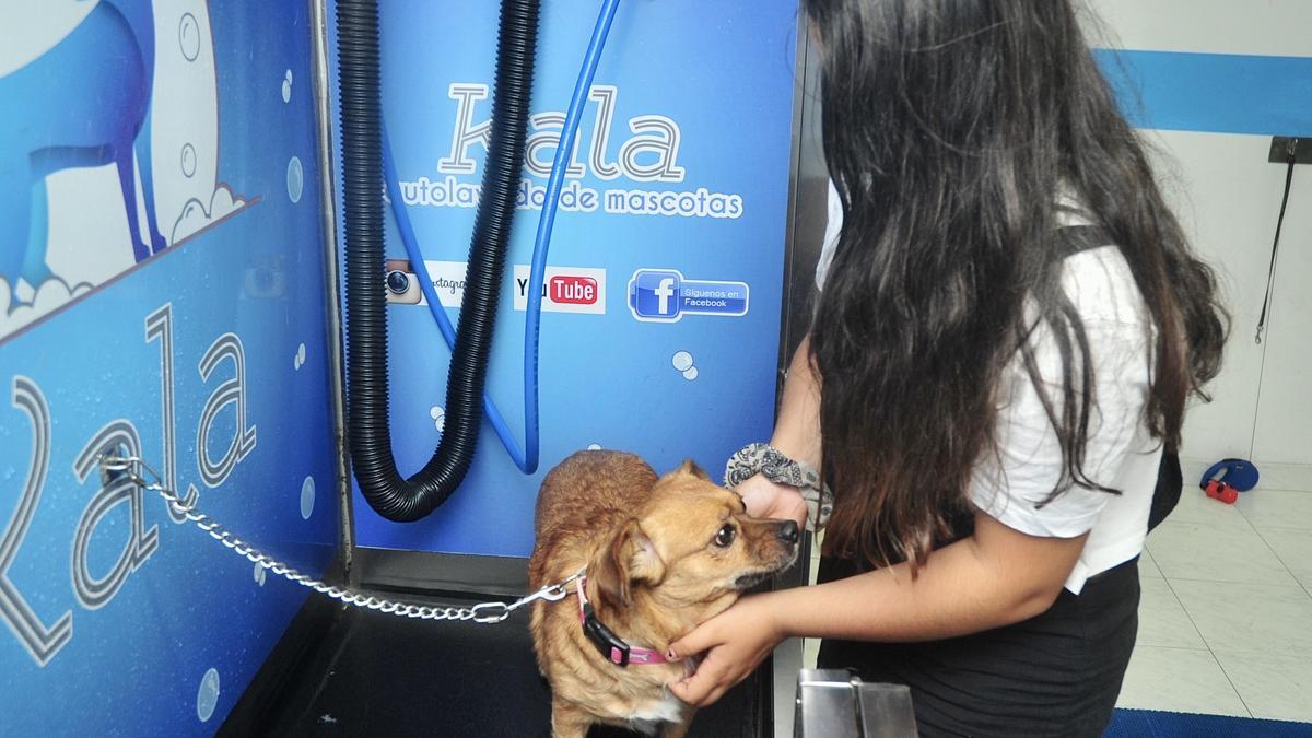 Una joven lavando a su mascota en Autolavados Kala.