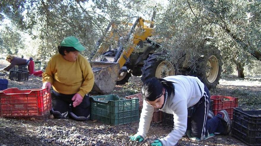 Un mercado laboral discriminatorio