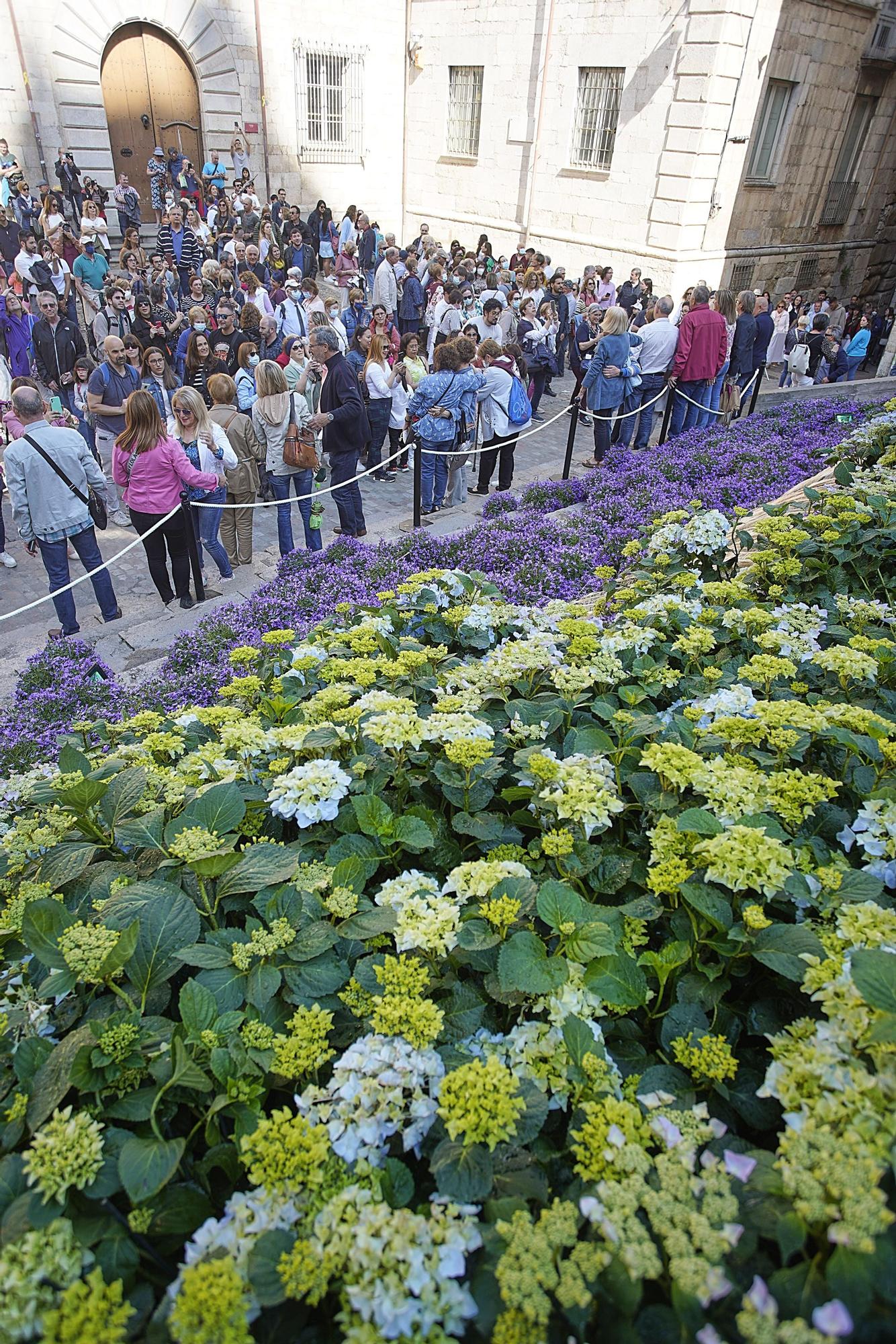 Temps de Flors 2022: les millors imatges d'aquest diumenge