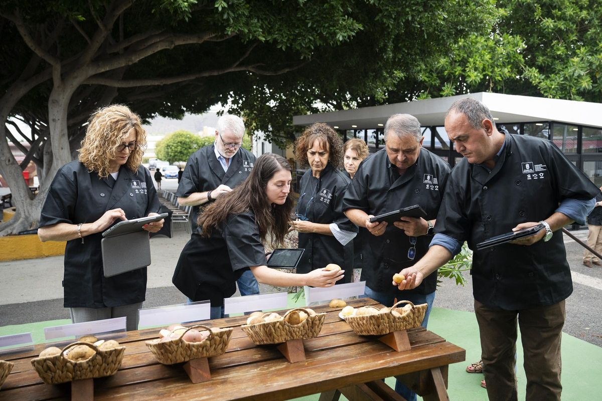 Equipo de expertos en la cata de la papa.