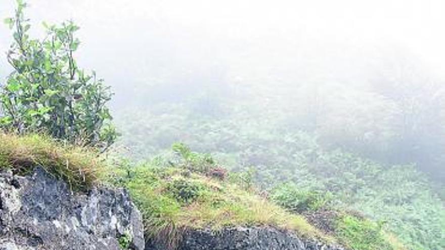 Fortín. Una construcción defensiva localizada en el collado Guaranga, en el paso del bosque de Peloño al puerto de Arcenorio, en el concejo de Ponga.