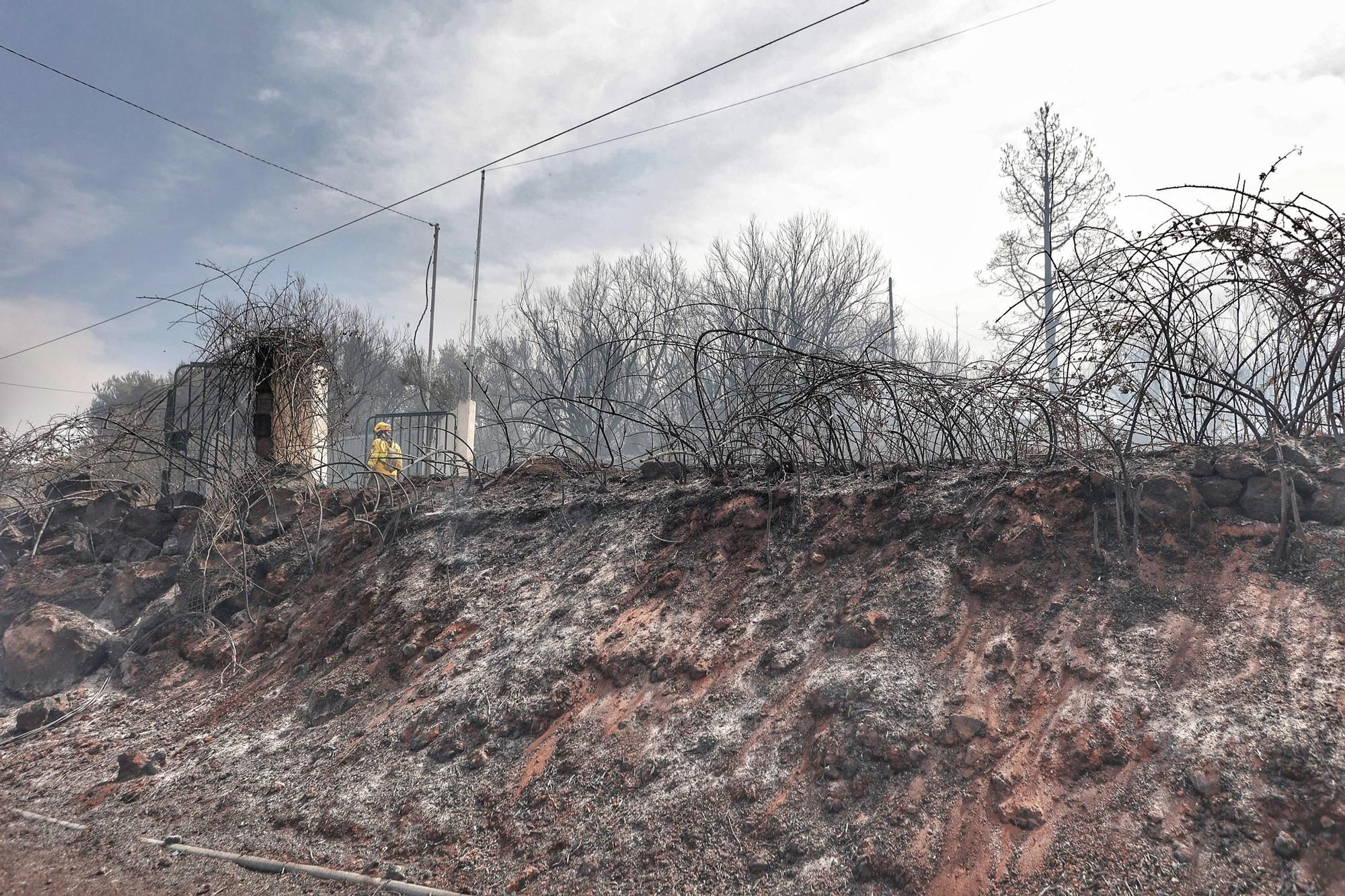 Realojadas las familias afectadas por el incendio en El Sauzal