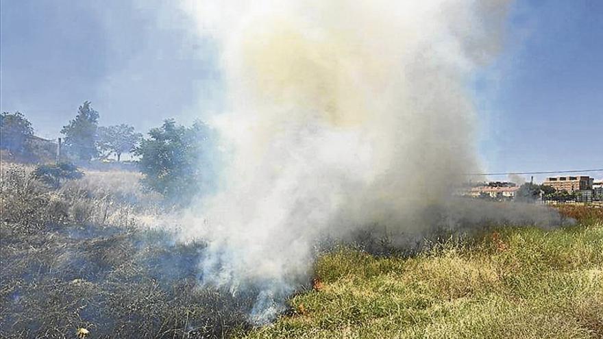 Arden 5 hectáreas de pastos entre Las Vaguadas y Llera