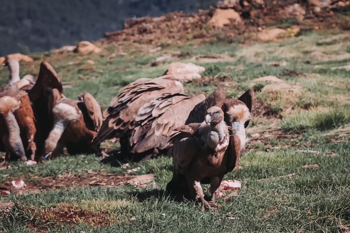 “MUGA – When She Stops Flowing, So Will We”