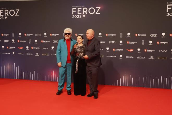 Alfombra roja de los premios Feroz