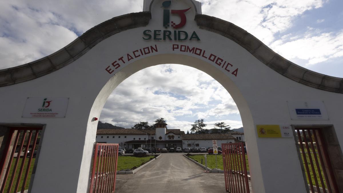 La entrada al Serida