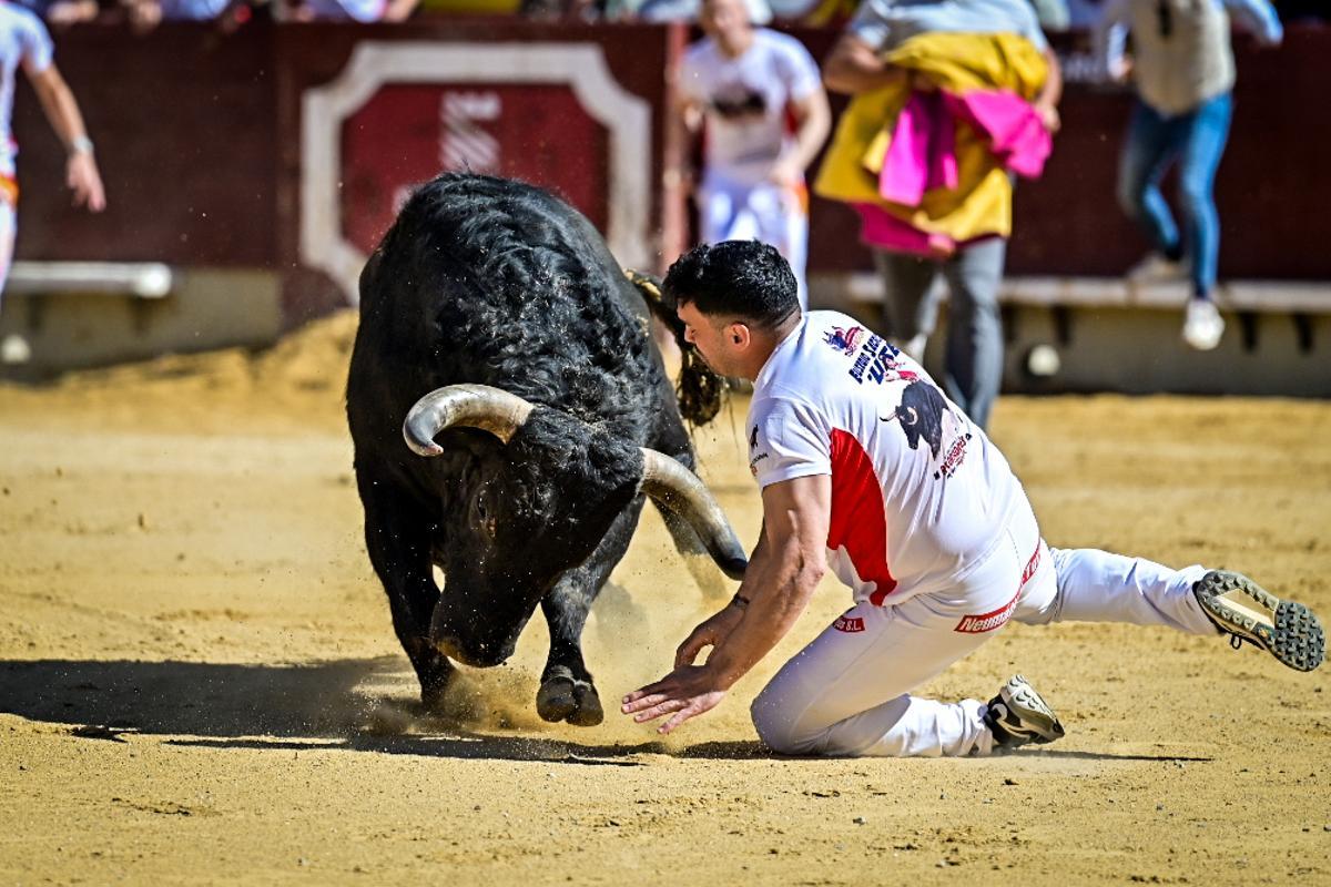 Concurso recortadores