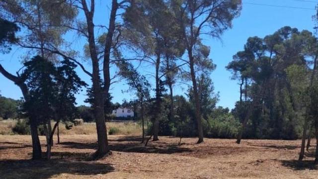 Santa Eulària abre un nuevo aparcamiento público y gratuito en s’Argamassa.