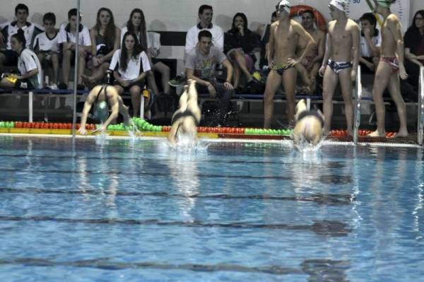 Trofeo San Silvestre El Olivar de natación