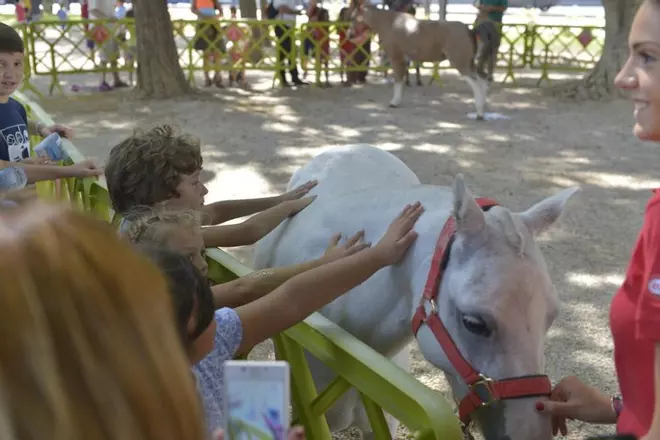 Los animales de Terra Natura toman la plaza Circular