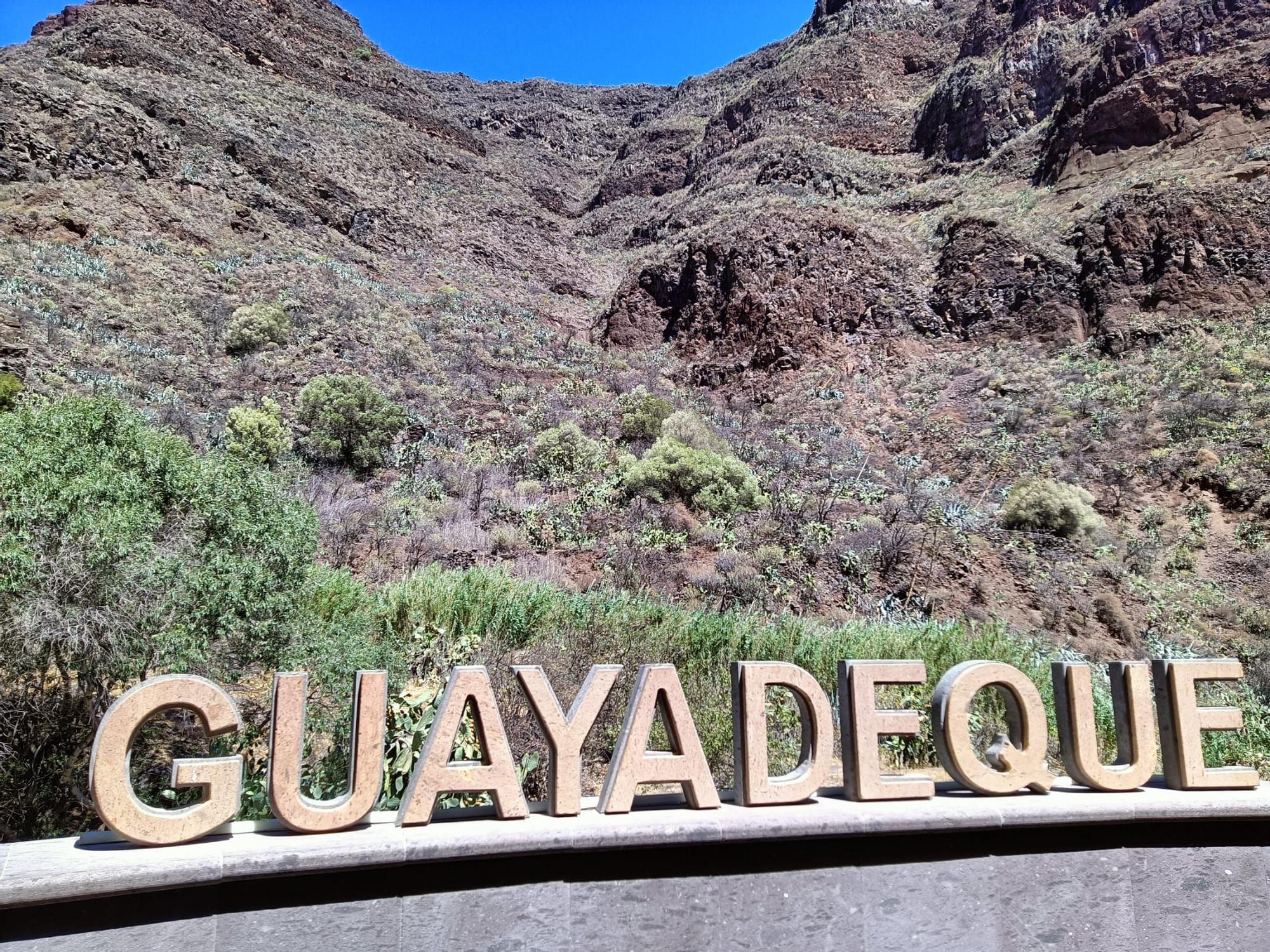 Monumento Natural Protegido Barranco de Guayadeque.