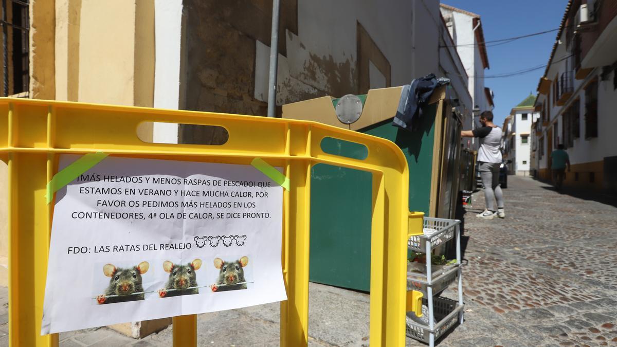 Una plaga de ratas moviliza a los vecinos del Realejo