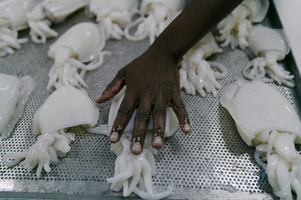 Pescadores artesanales venden sus productos, como pulpos, calamares y sepias. Tanga, Tanzania.