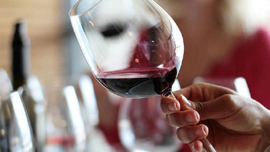 Dieciséis bodegas de Jumilla dan a probar mañana sus vinos en la Glorieta