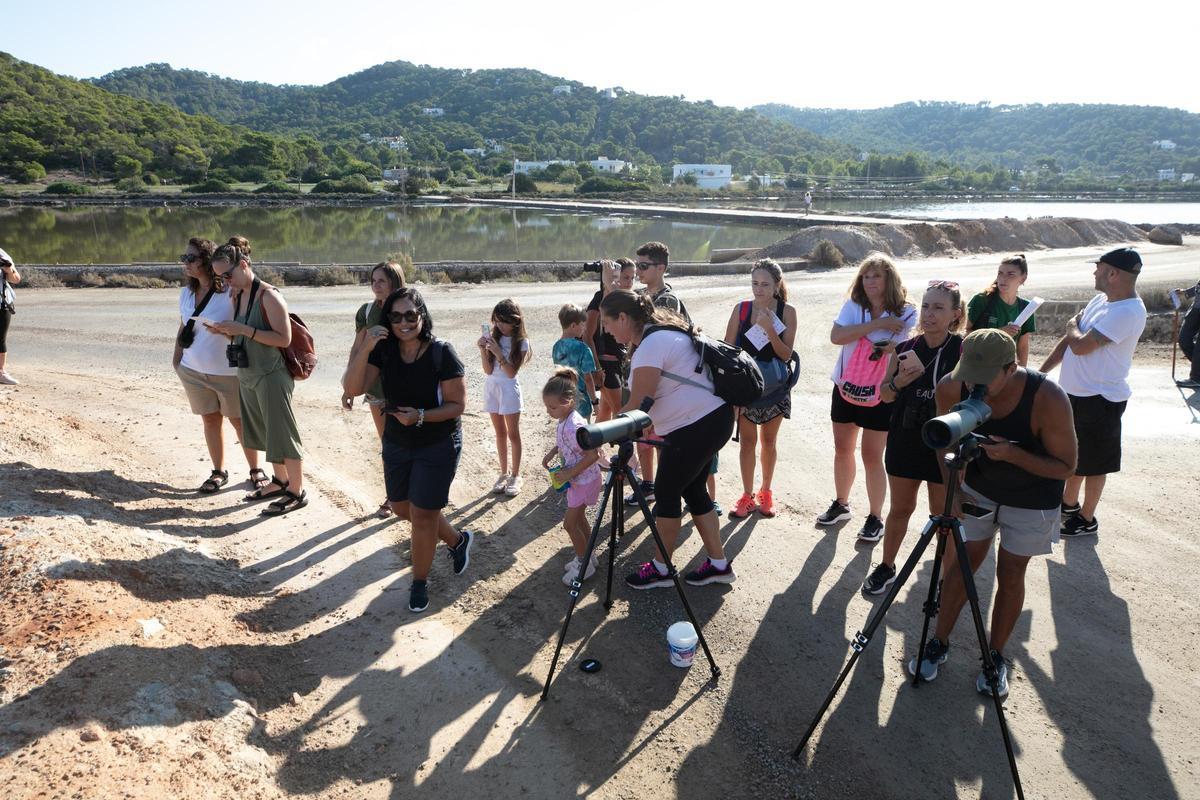 Galería: Así es una visita guiada al Parc Natural de ses Salines