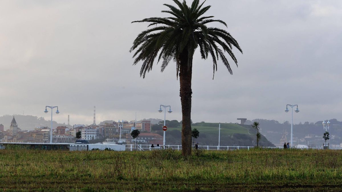 Entorno del Rinconín donde se plantea la «playa verde», con el "Elogio del horizonte" al fondo.