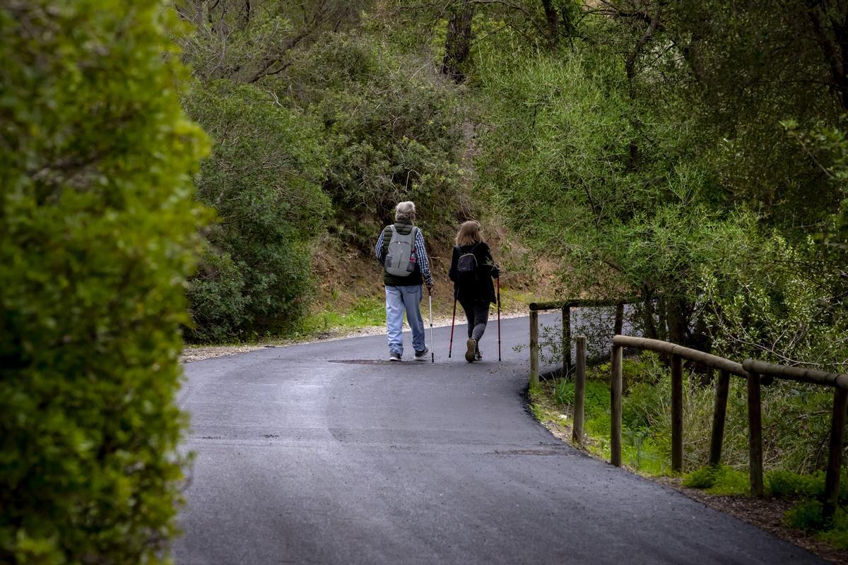 Las fotos del asfaltado del bosque de Bellver que indigna a ciudadanos y ecologistas Las fotos del asfaltado del bosque de Bellver que indigna a ciudadanos y ecologistas