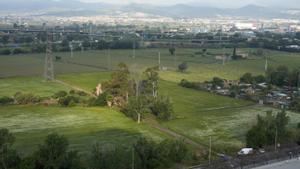 Recuperar la memòria agrícola