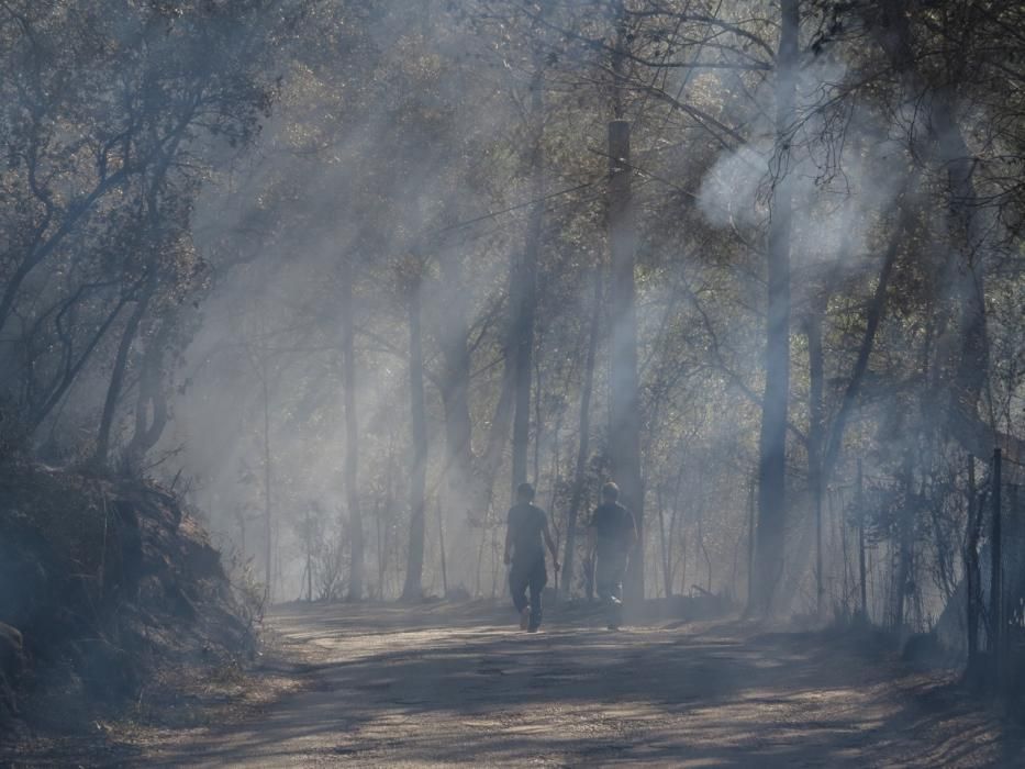 Waldbrand bei Puigpunyent