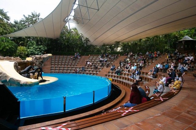 El Loro Parque reabre sus puertas al público después de 13 meses y medio de cierre por el Covid-19