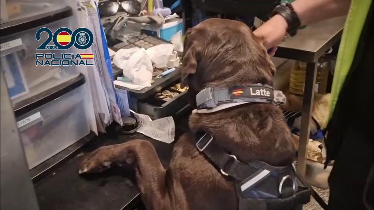 Uno de los registros de la operación de la Policía de Benidorm.