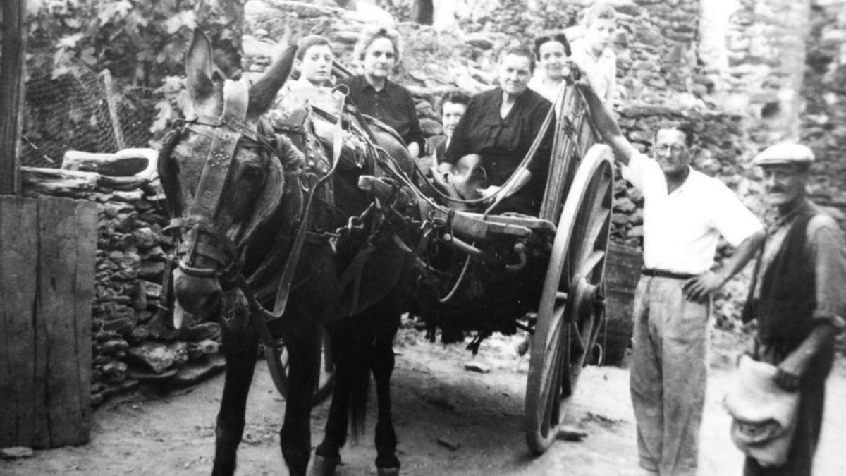 El carro d’en Martí Roig Fa, a punt per anar a la vinya.