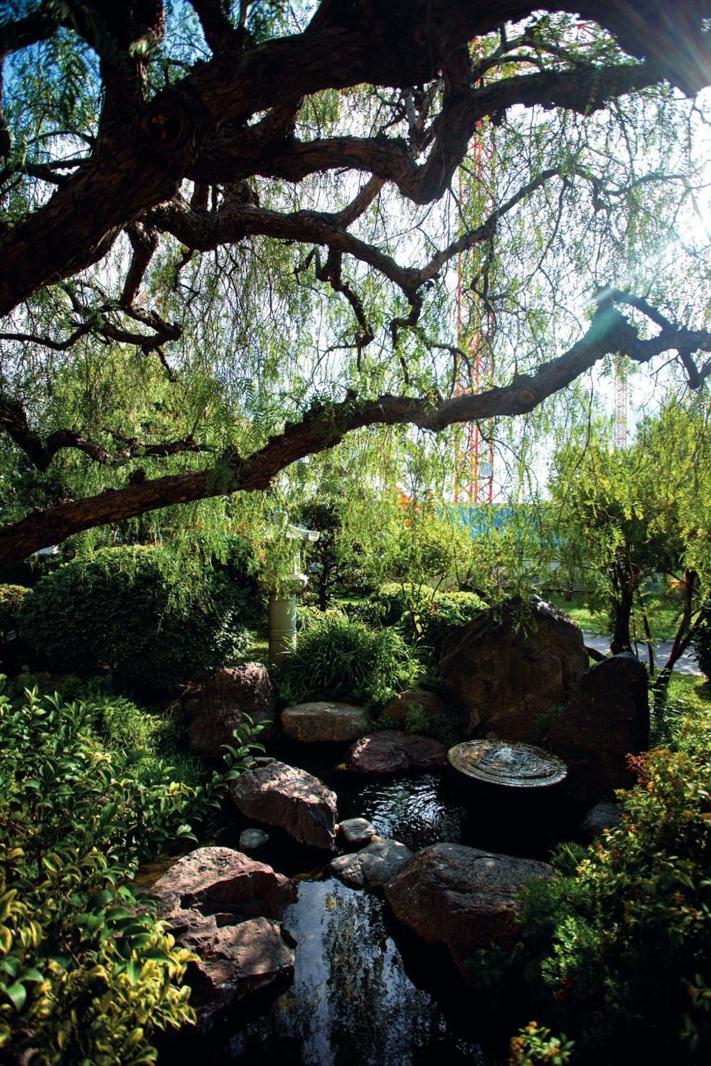 Jardín japonés Princesa Grace.