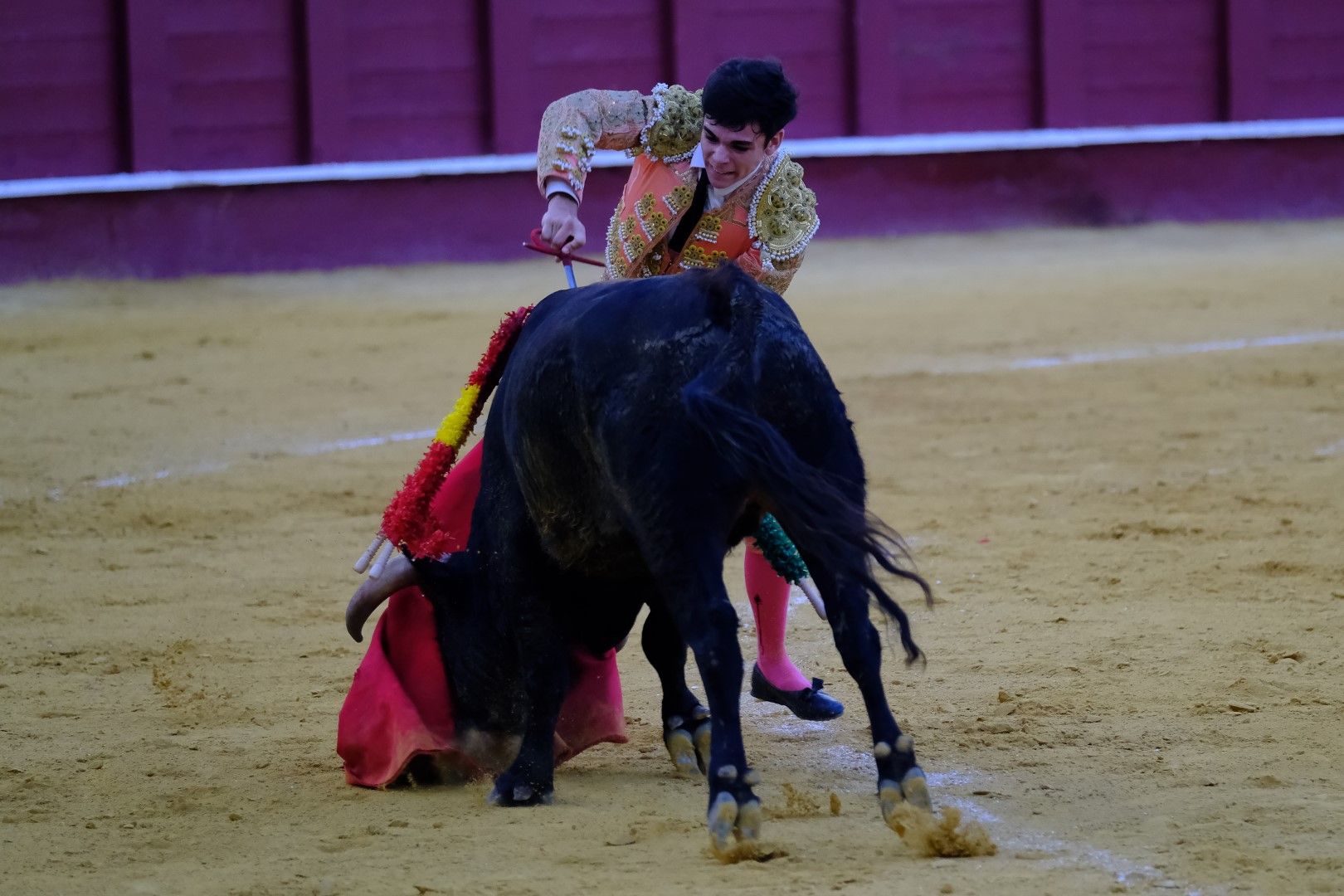 XVI Certamen Internacional de Escuelas Taurinas La Malagueta