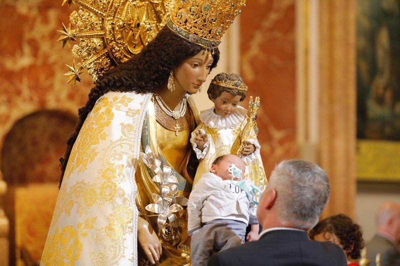 Besamanos a la Virgen de los Desamparados