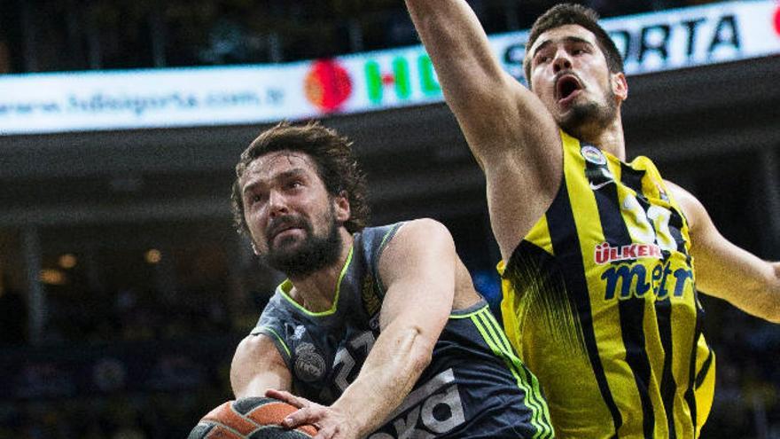 Llull, a aro pasado.