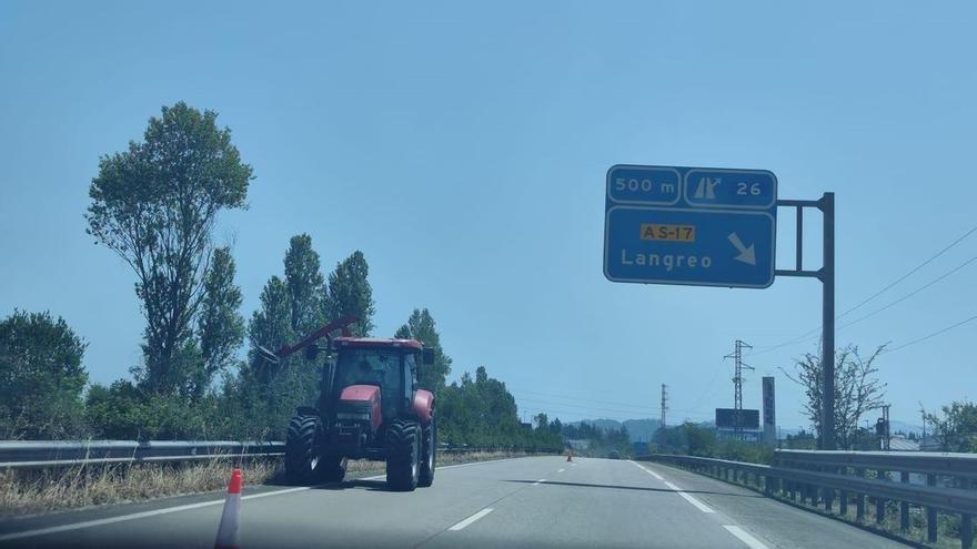 Los desbroces en la autovía, en imágenes