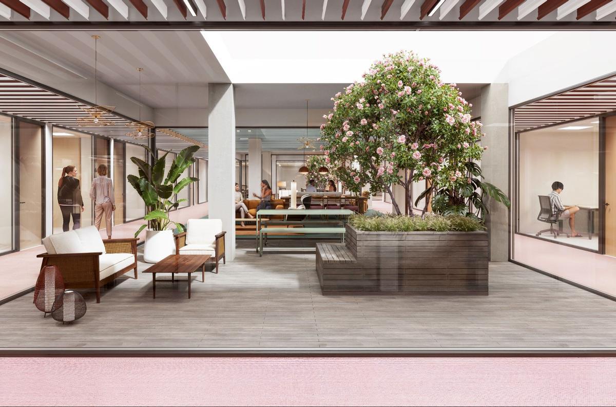 Recreación de los patios