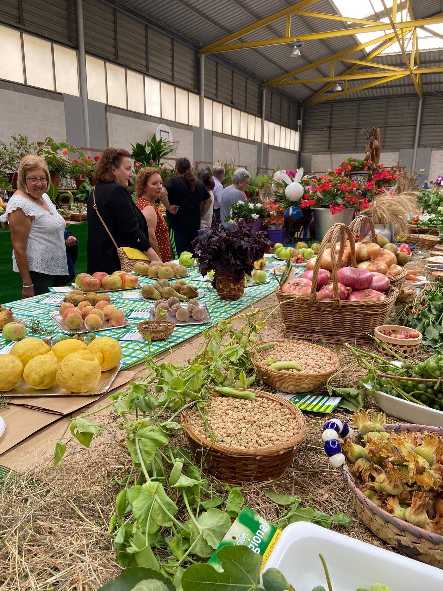 Llanera desembarca en el Festival de la Huerta de Pravia, donde acude como municipio invitado