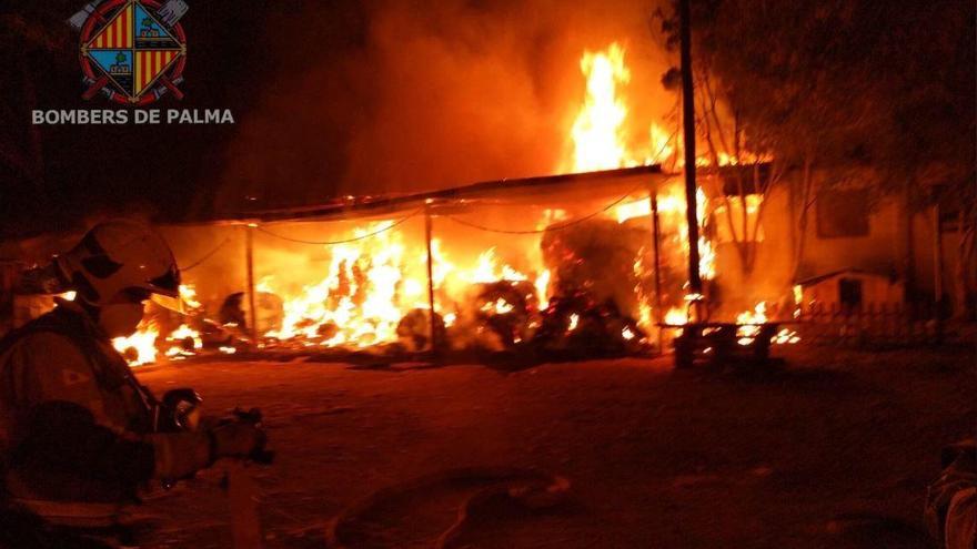 Feuer in Reitschule in Palma de Mallorca