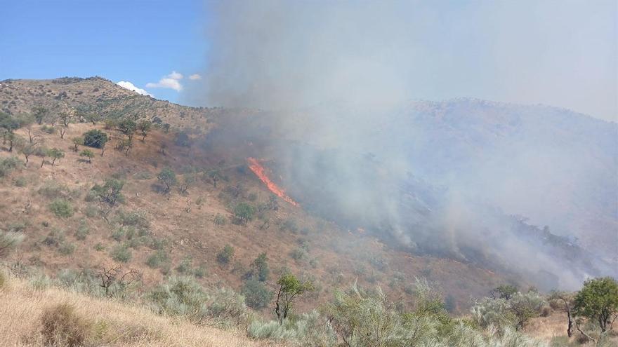 Declarado un incendio forestal en un paraje de Casabermeja