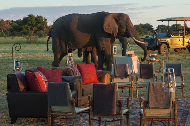 Abu Camp, Delta del Okavango, Botswana